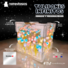Tulipanes Infinitos (Armado y personalizado) - Imagen 2